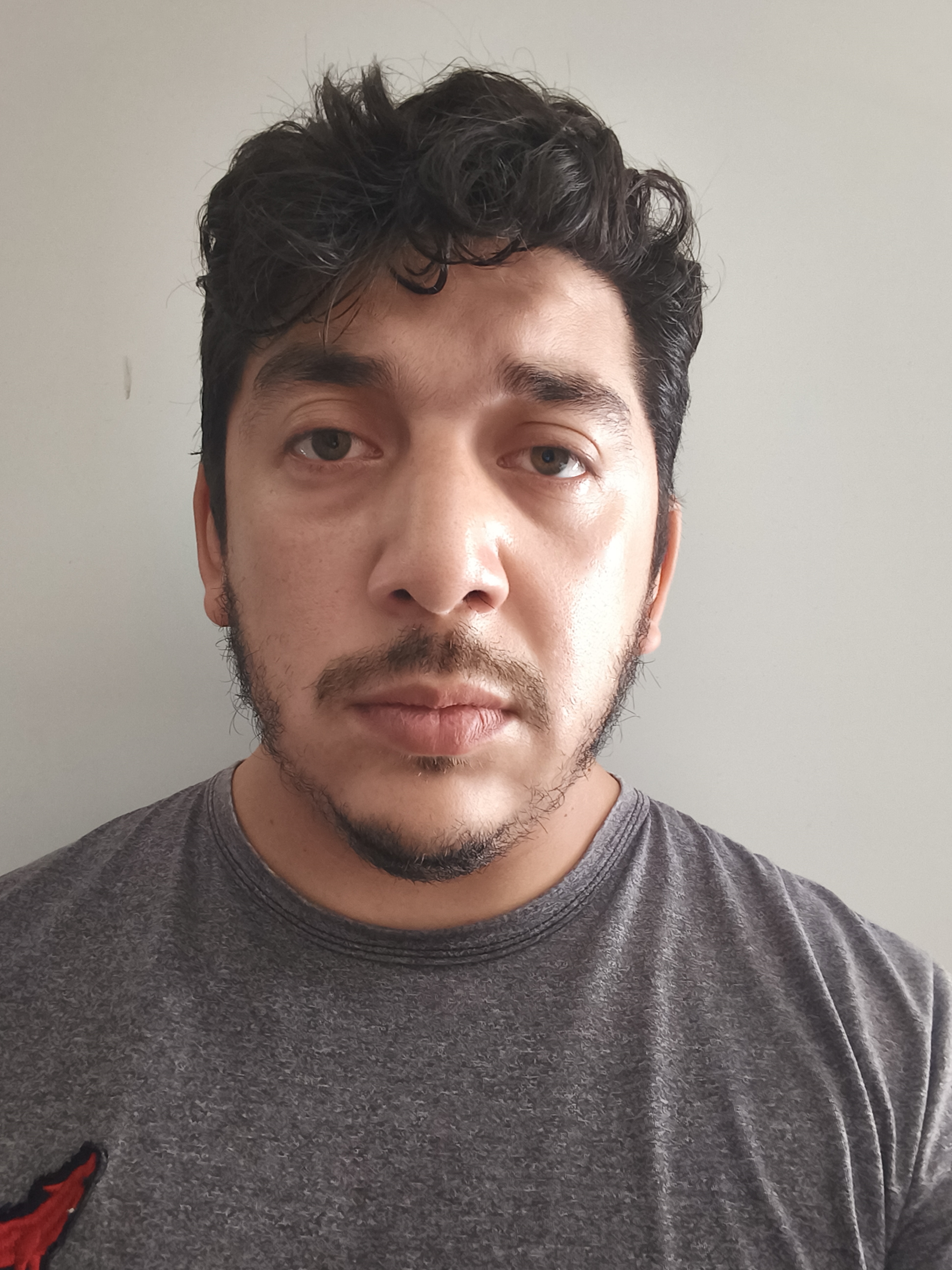 CRISTIAN RAMON BRAVO ELIZARRARAS