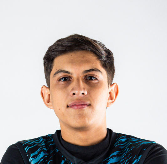 Diego Reyes Lara