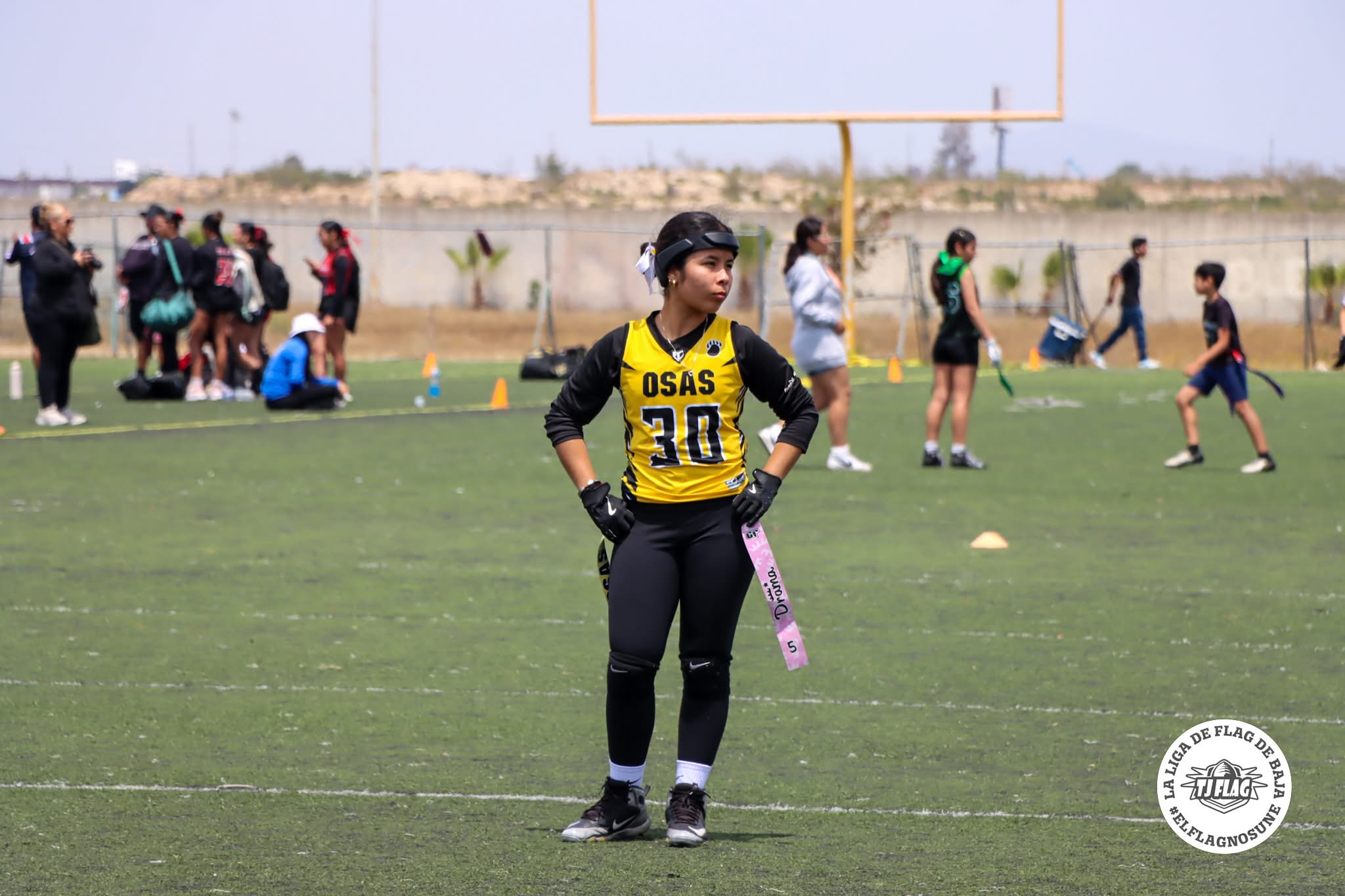 Luz Danna Carbajal Ramos