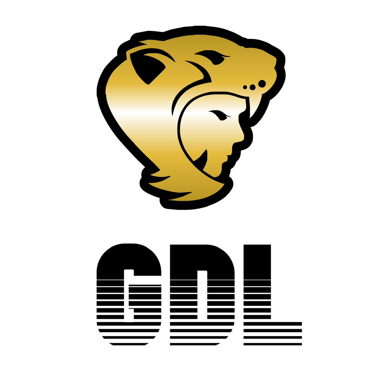 Guerreras Jaguar SuBiré GDL